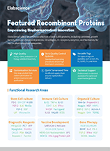 Featured Recombinant Proteins (2025)